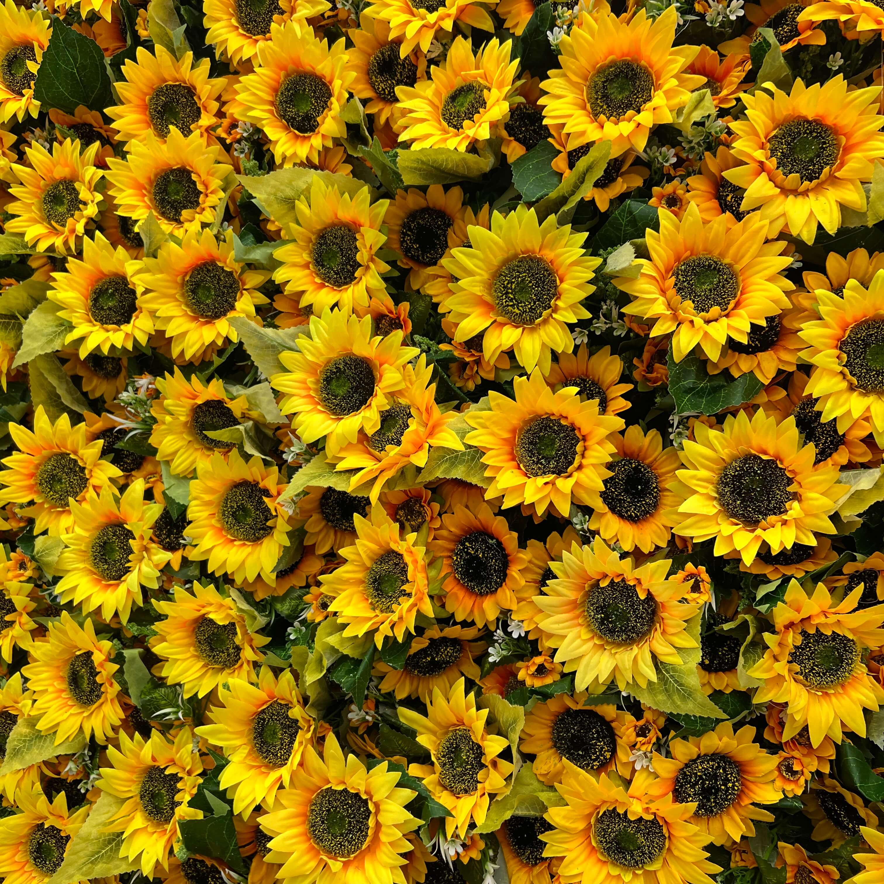 💥BF-SALE: Sunflower Artificial Flower Wall Roll Up#RTW090