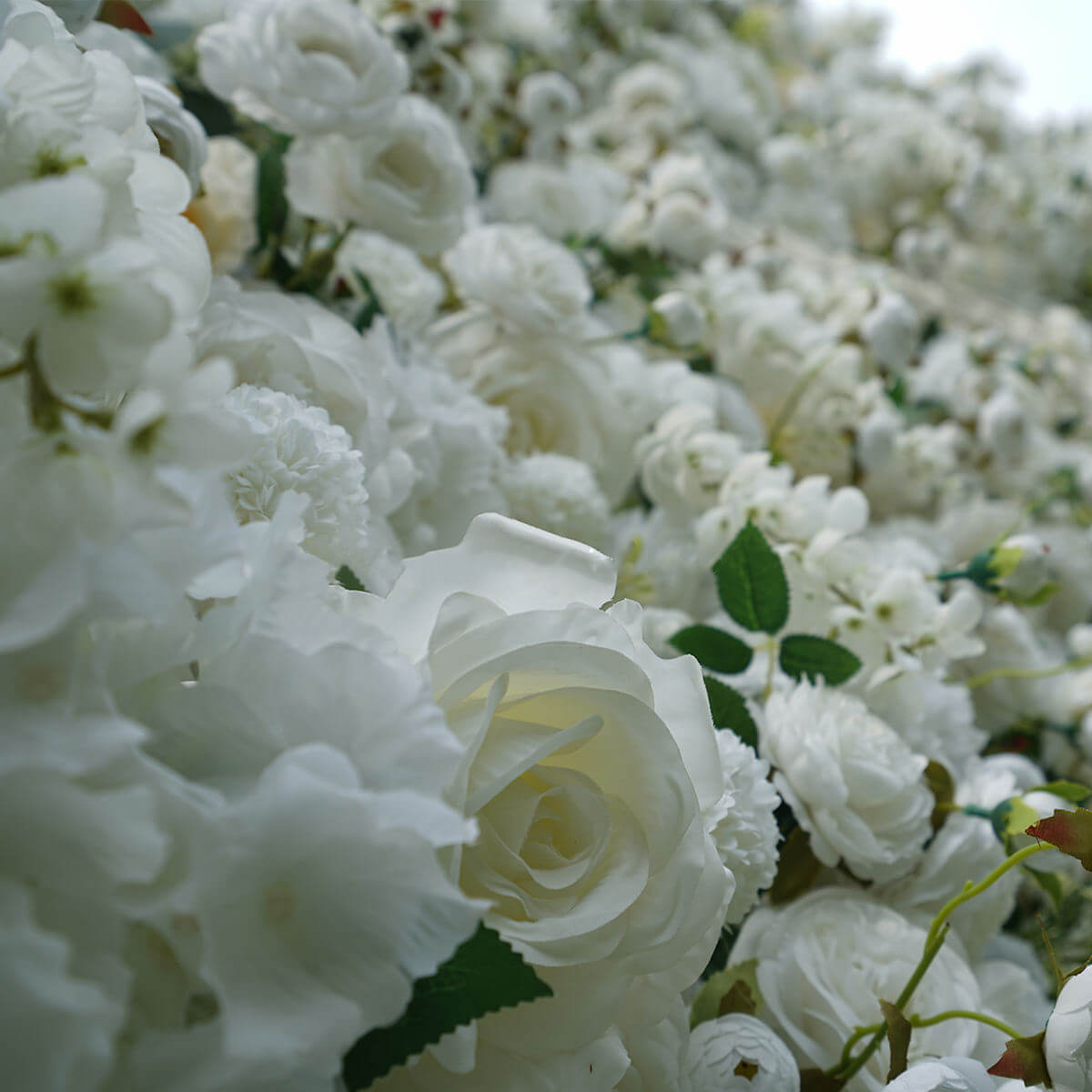 Roseytime flower wall backdrop