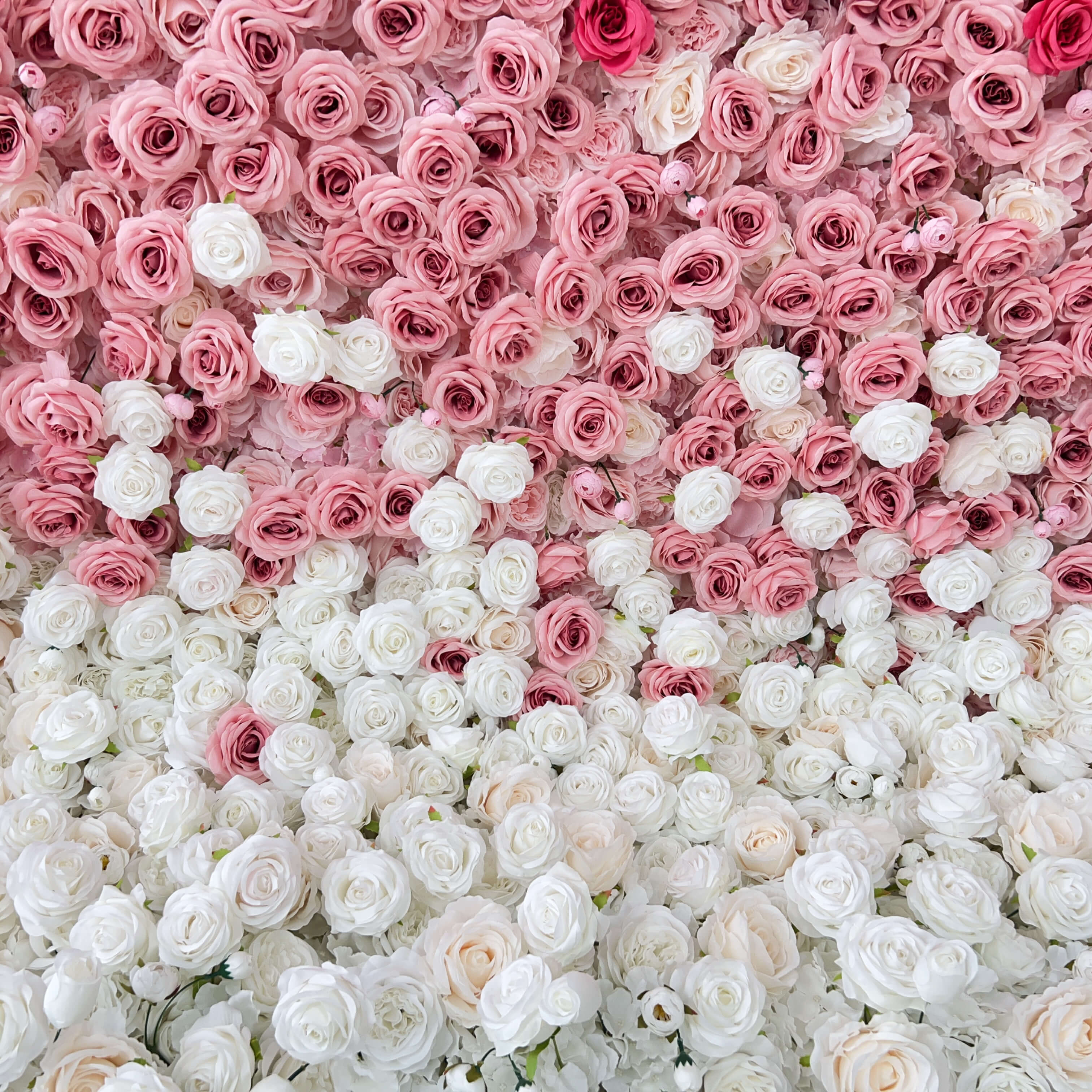 Roseytime 5D Gradient Flower Wall Red Pink Roll Up Fabric Back #RTW246
