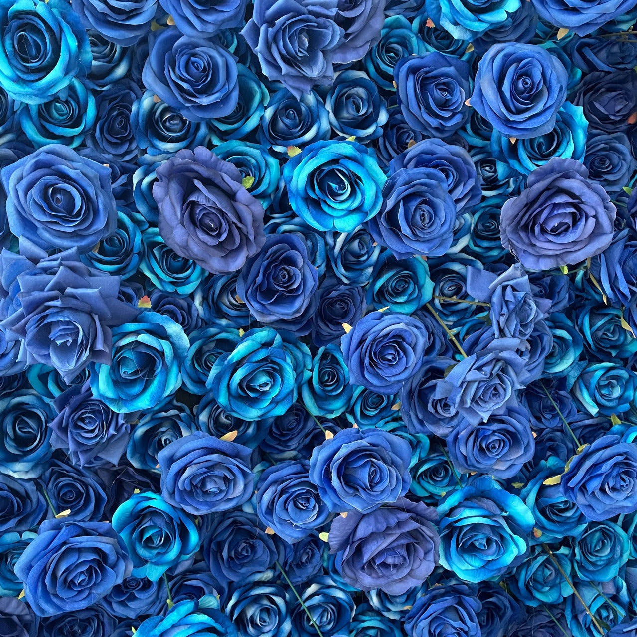Roseytime 5D Artificial Blue Rose Flower Wall Roll Up Fabric Back #RTW059