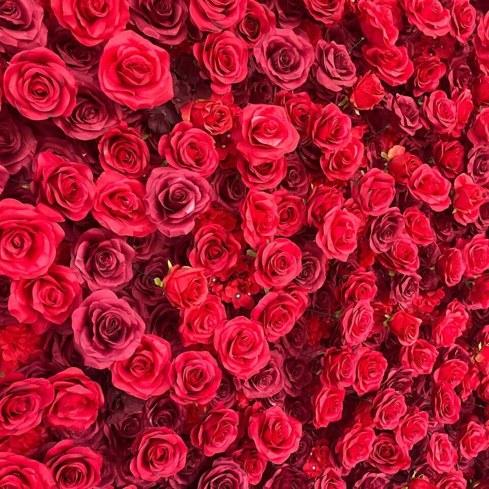 💥BF-Sale: 5D Red Flower Wall Roll Up Fabric Back #RTW009