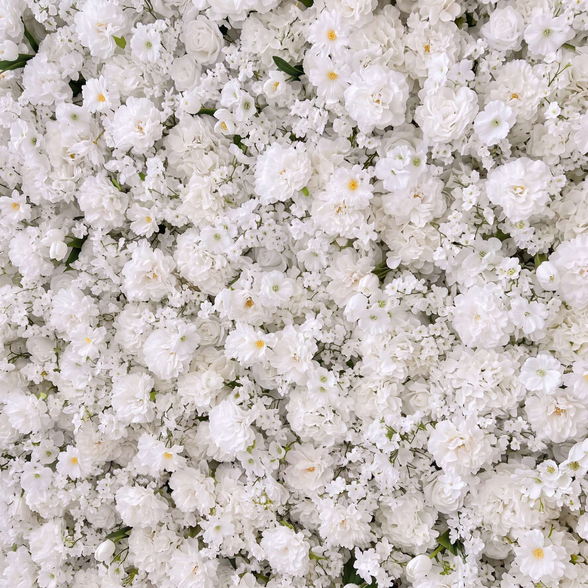 💥B1G1: Sale 5D White Flower Wall Roll Up Fabric Back #RTW464