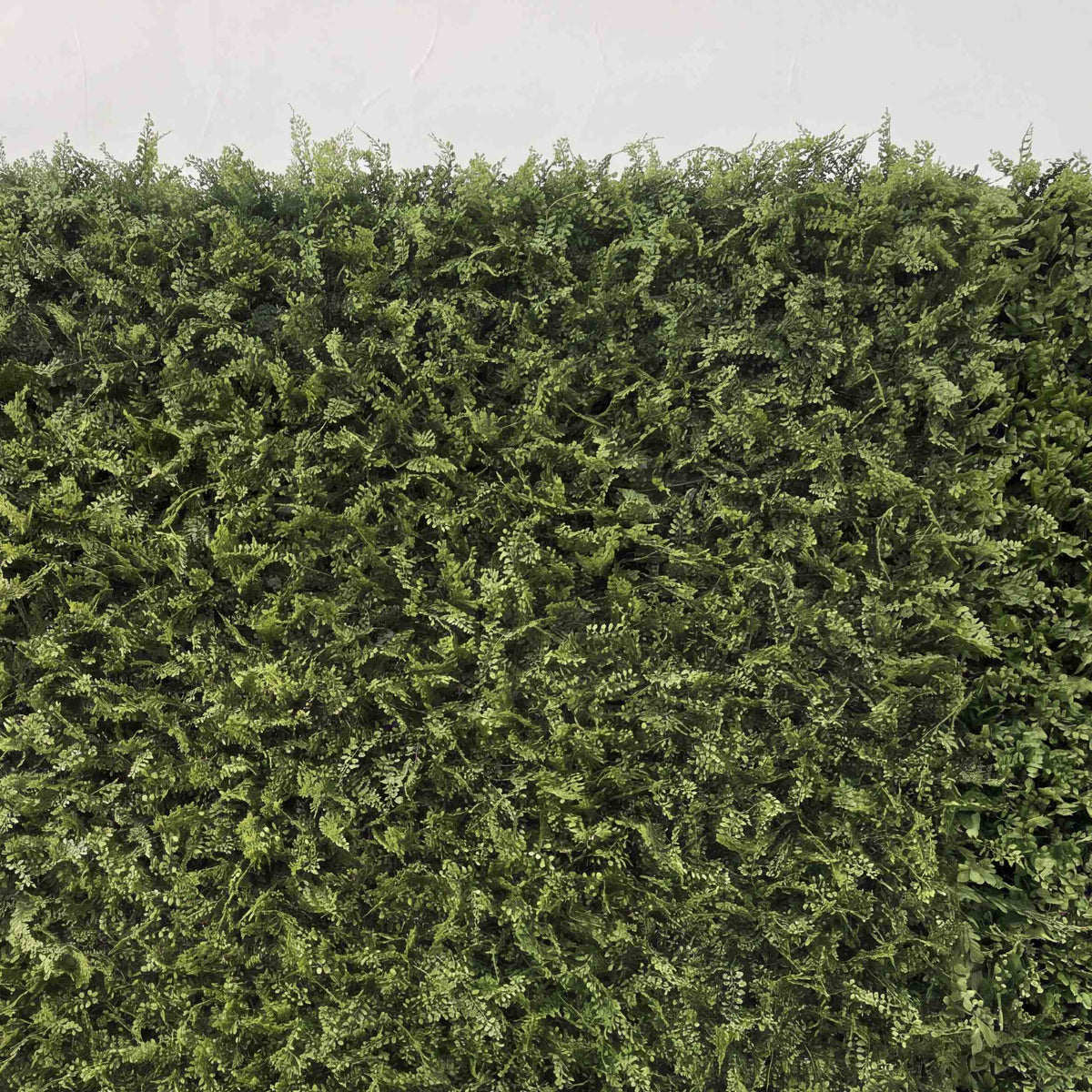 š„B1G1: Sale Grass Wall Roll Up Fabric Back #RTW466