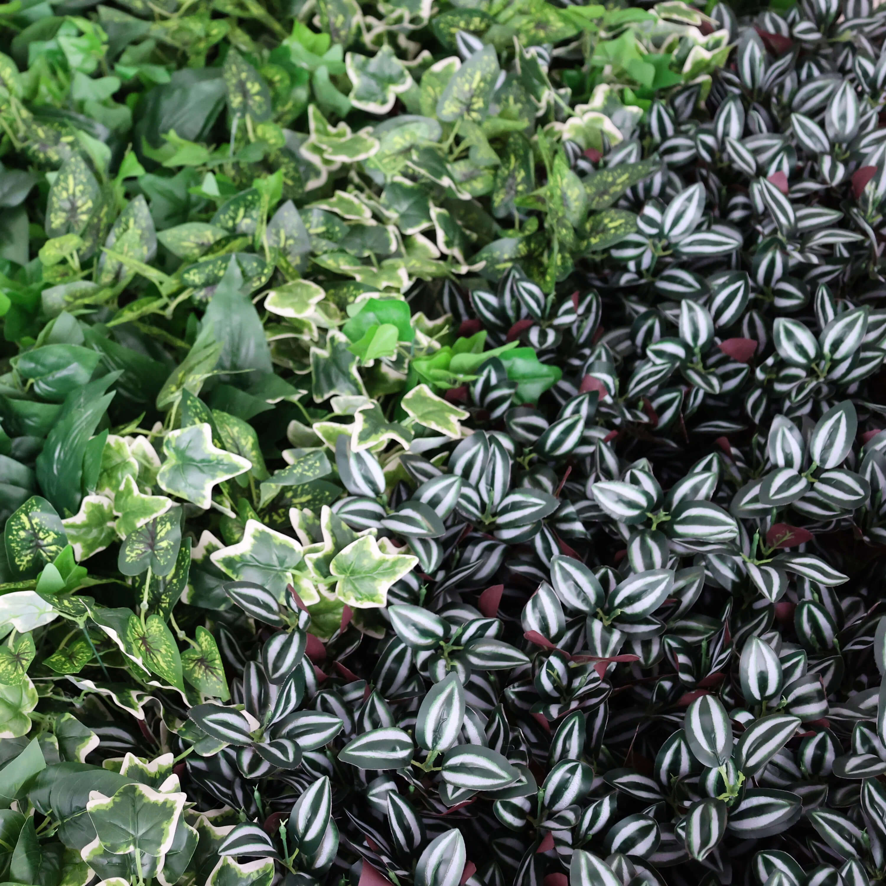 Roseytime 5D Greenery Wall Roll Up Fabric Back #RTW331