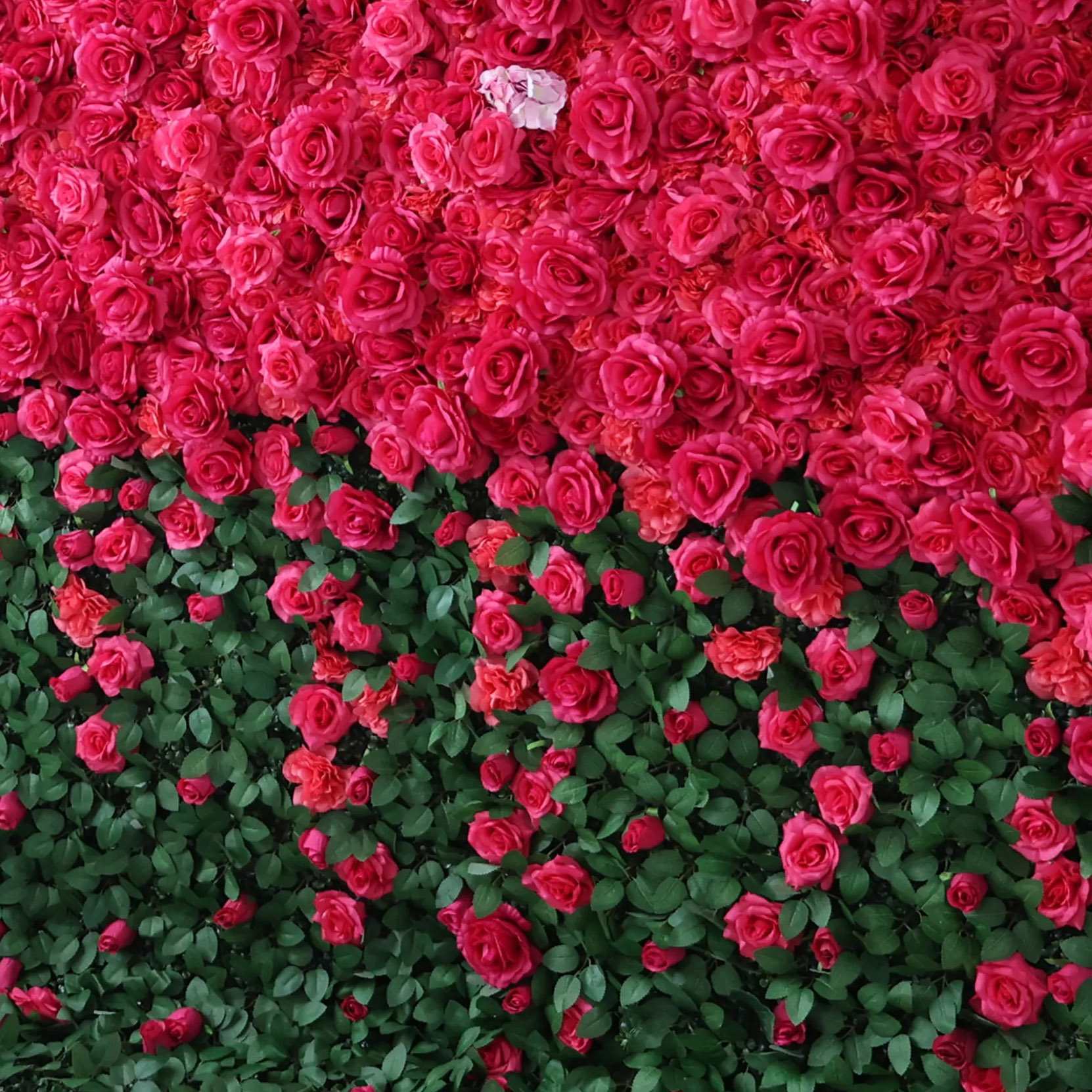 Roseytime 3D Hot Pink&Greenery Flower Wall Roll Up Fabric Back #RTW337