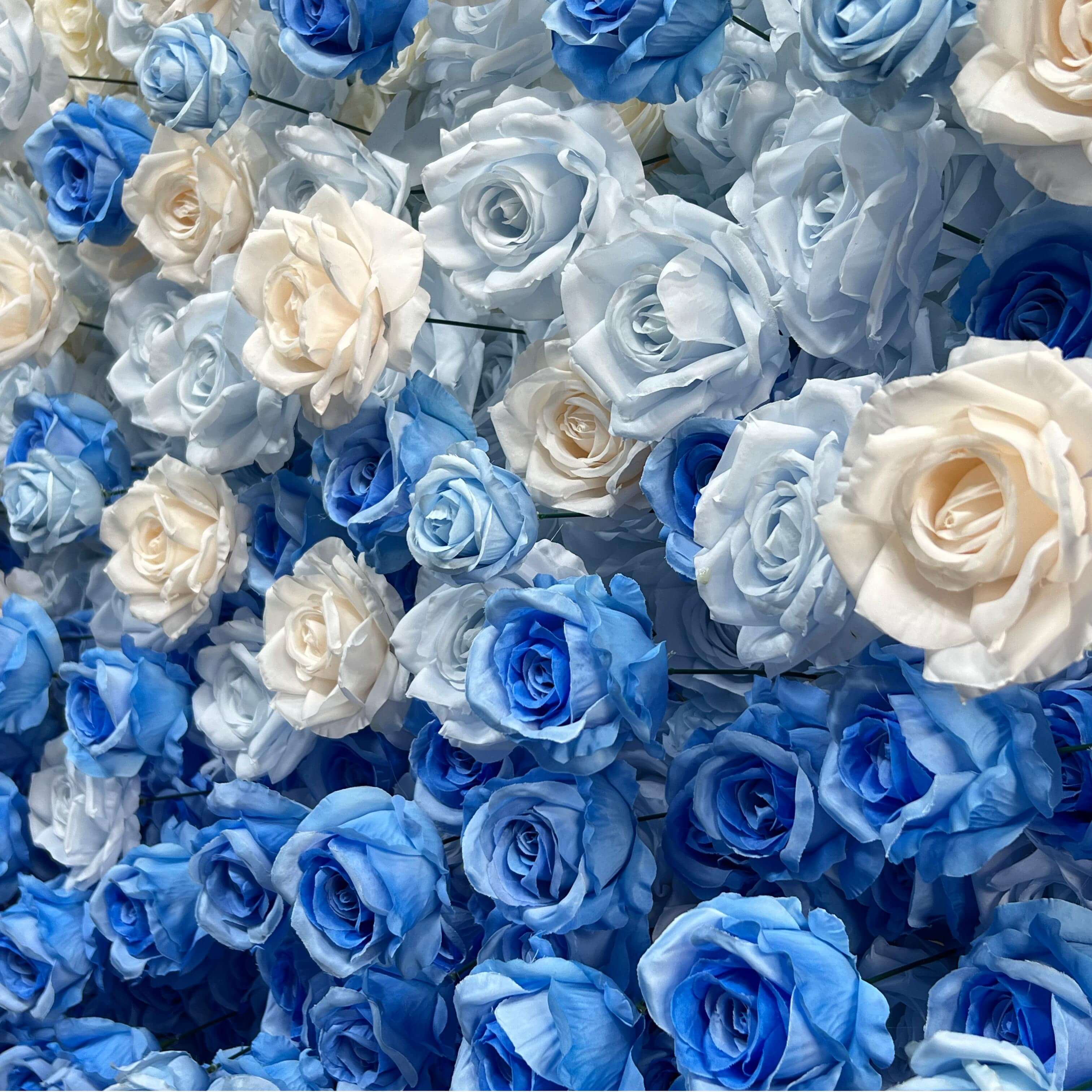 Roseytime 5D Gender Reveal Party Flower Wall Roll Up Fabric Back #RTW249