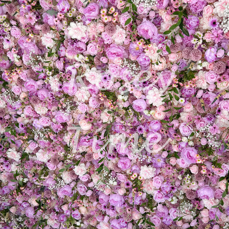 purpleflowerwallroseytime