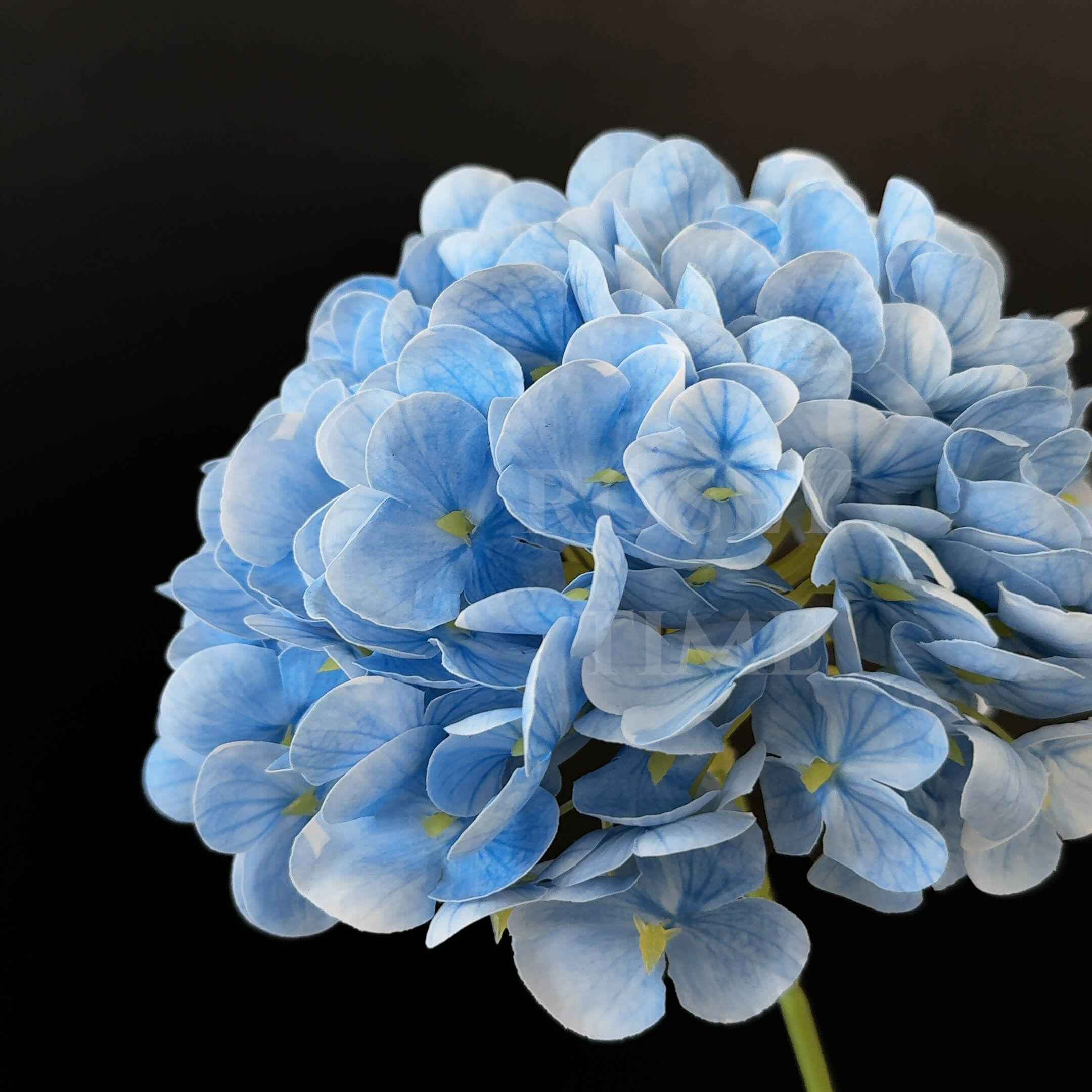 (100PC) Real Touch Hydrangea Faux Flower Bundle Sale