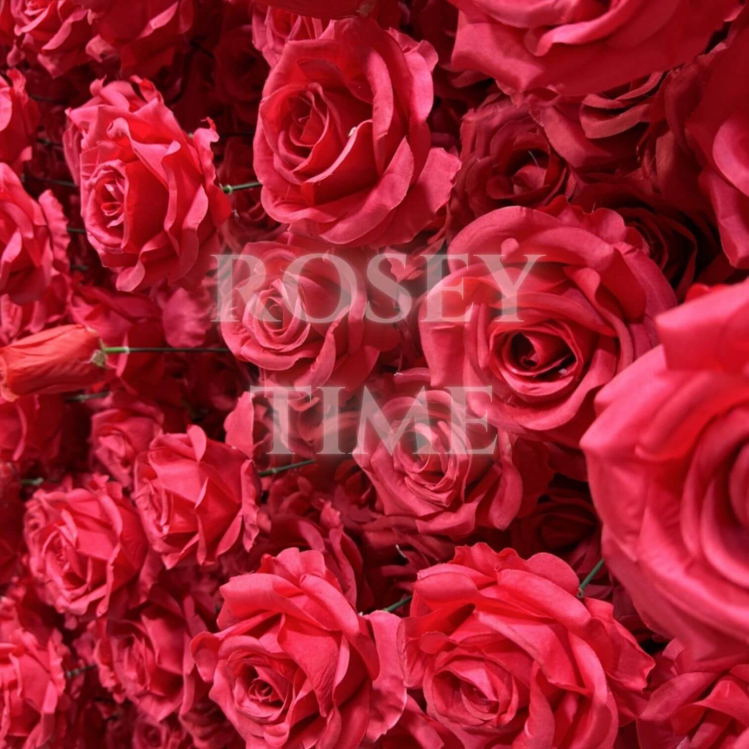 Roseytime 5D Red Roses Flower Wall Fabric Back Roll Up #RTW254