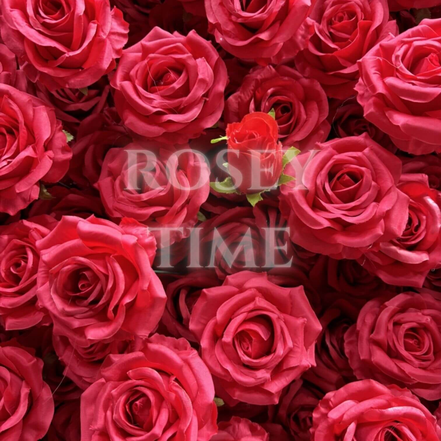 Roseytime 5D Red Flower Wall Roll Up Fabric Back #RTW108