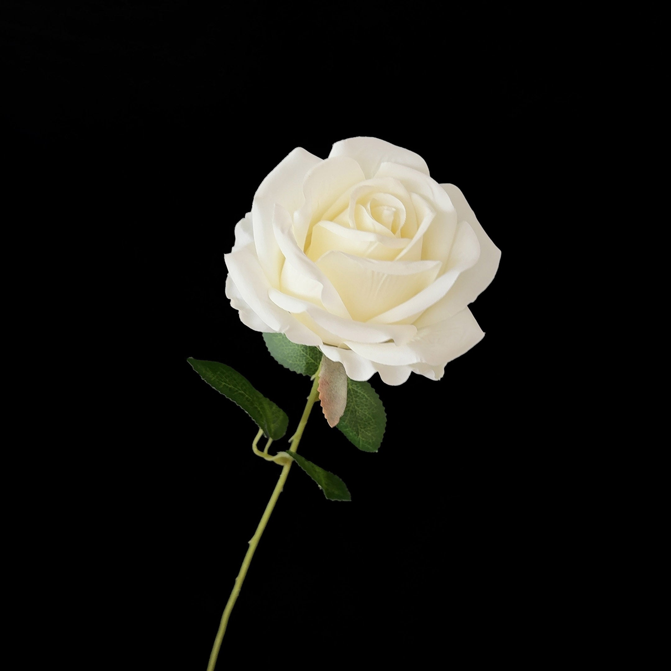 10pc White Artificia Rose Flower-sale
