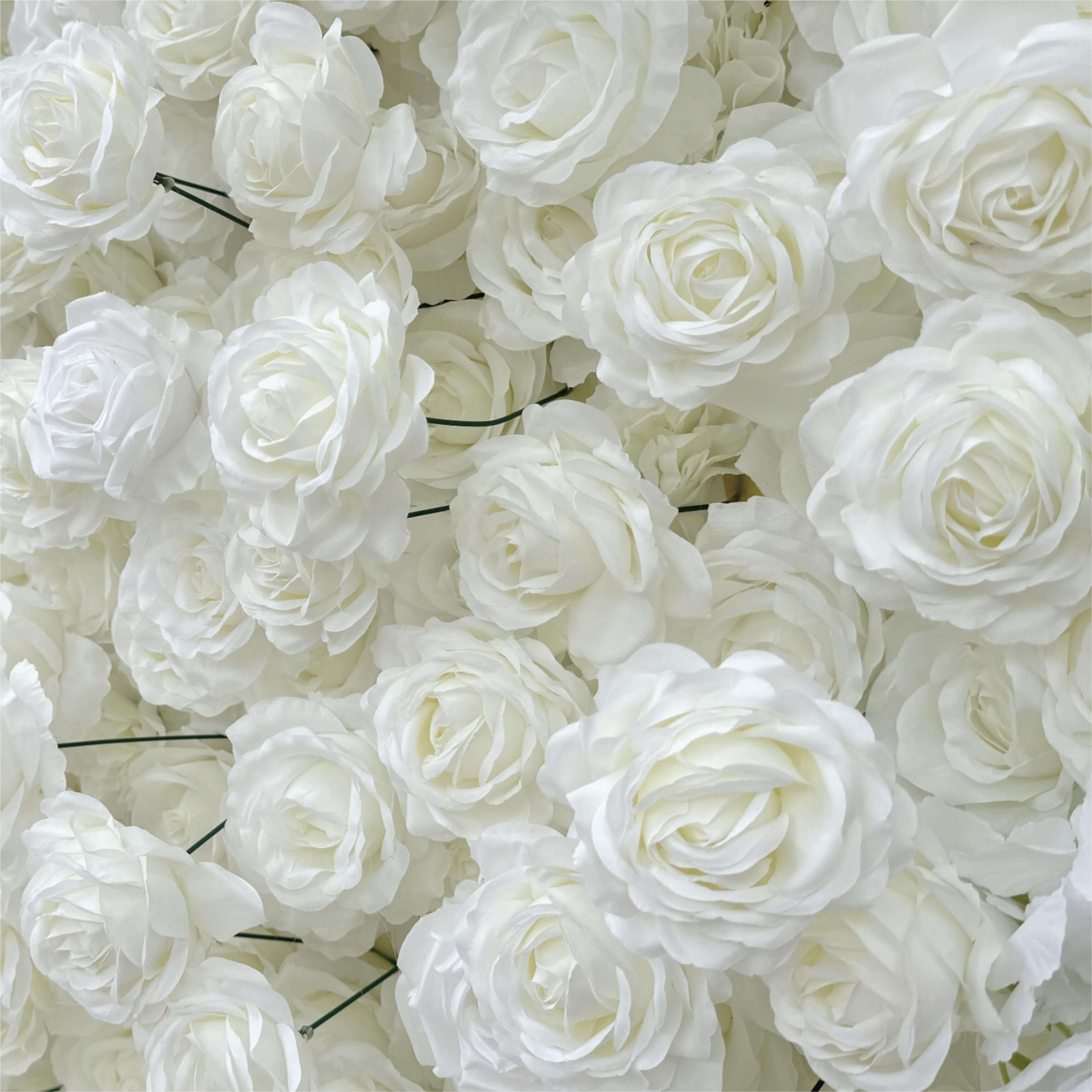 Roseytime White Roses Bow Flower Wall Roll Up Fabric Back #RTW434