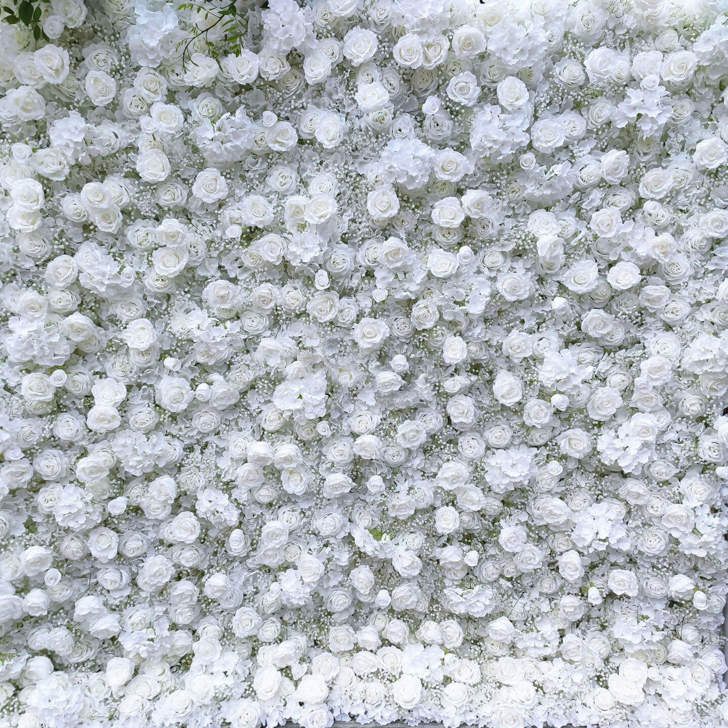 whiteflowerwall