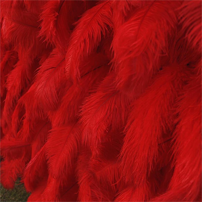 Roseytime 5D Red Feather Wall Roll Up Fabric Back #RTW283