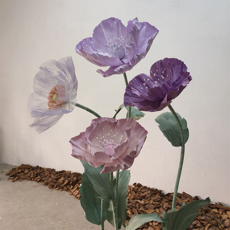 Roseytime Giant Flower Purple Poppy Set of 4