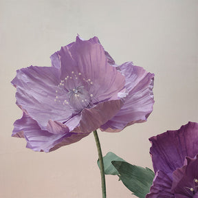 Roseytime Giant Flower Purple Poppy Set of 4