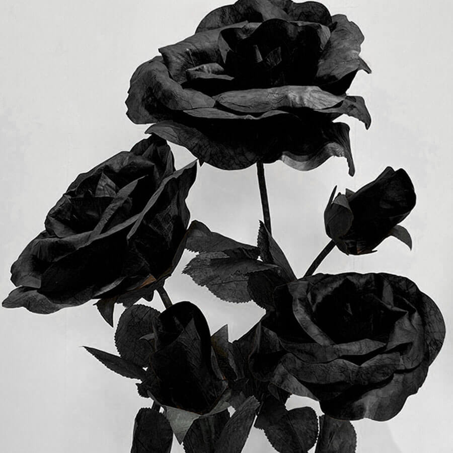 Roseytime Black Giant Paper Roses Flower Set of 5