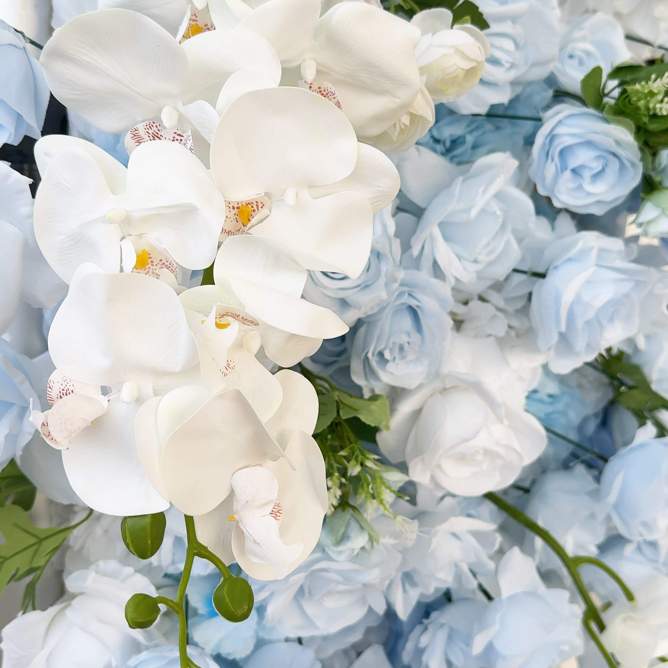 Roseytime Blue Square Flower Arch 8x8ft  Fabric Back Backdrop #RTA135