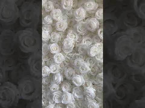 Roseytime 3D White Roses Flower Wall Roll Up Fabric Back #RTW033