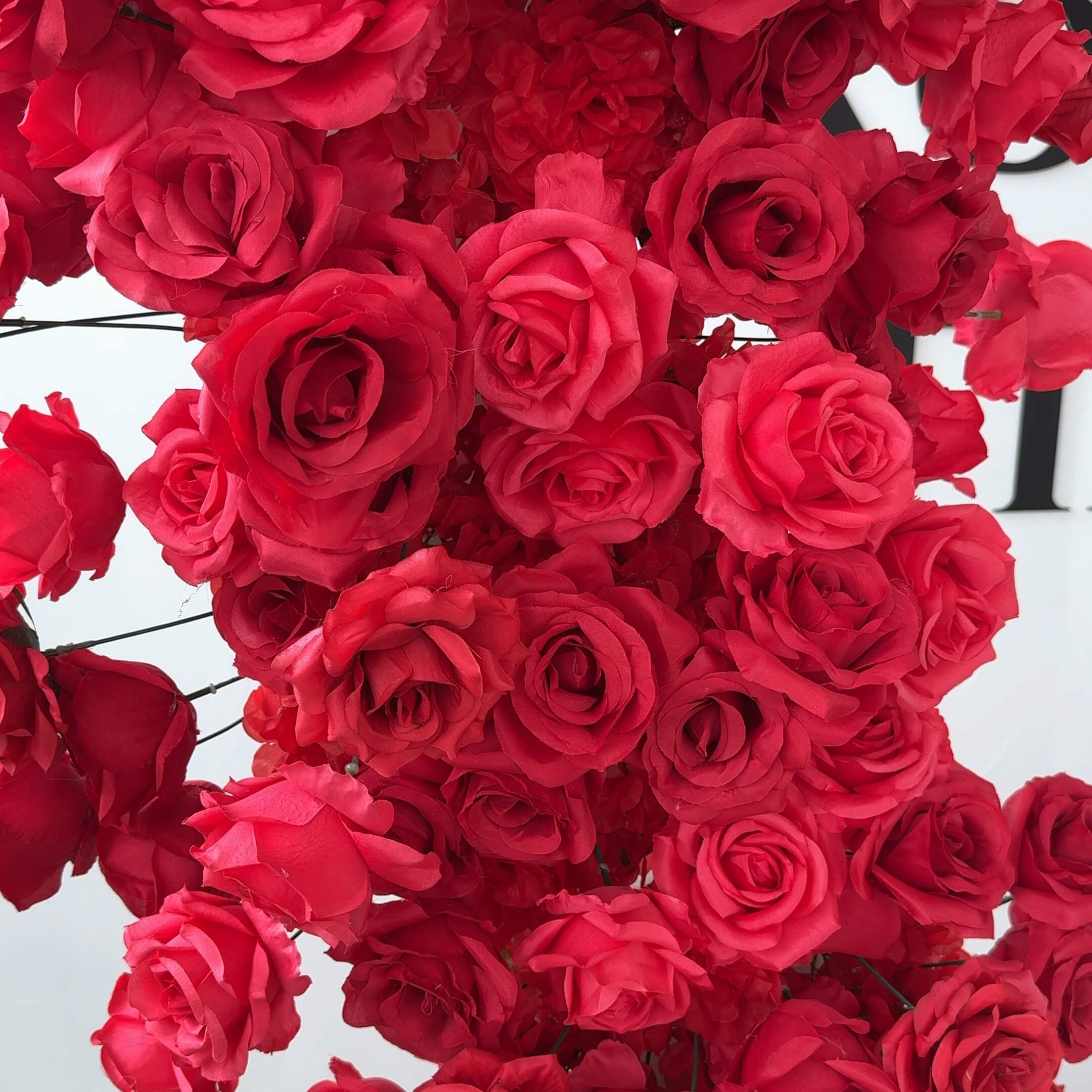 RoseyTime Red Heart Flower Arches Set With Frame