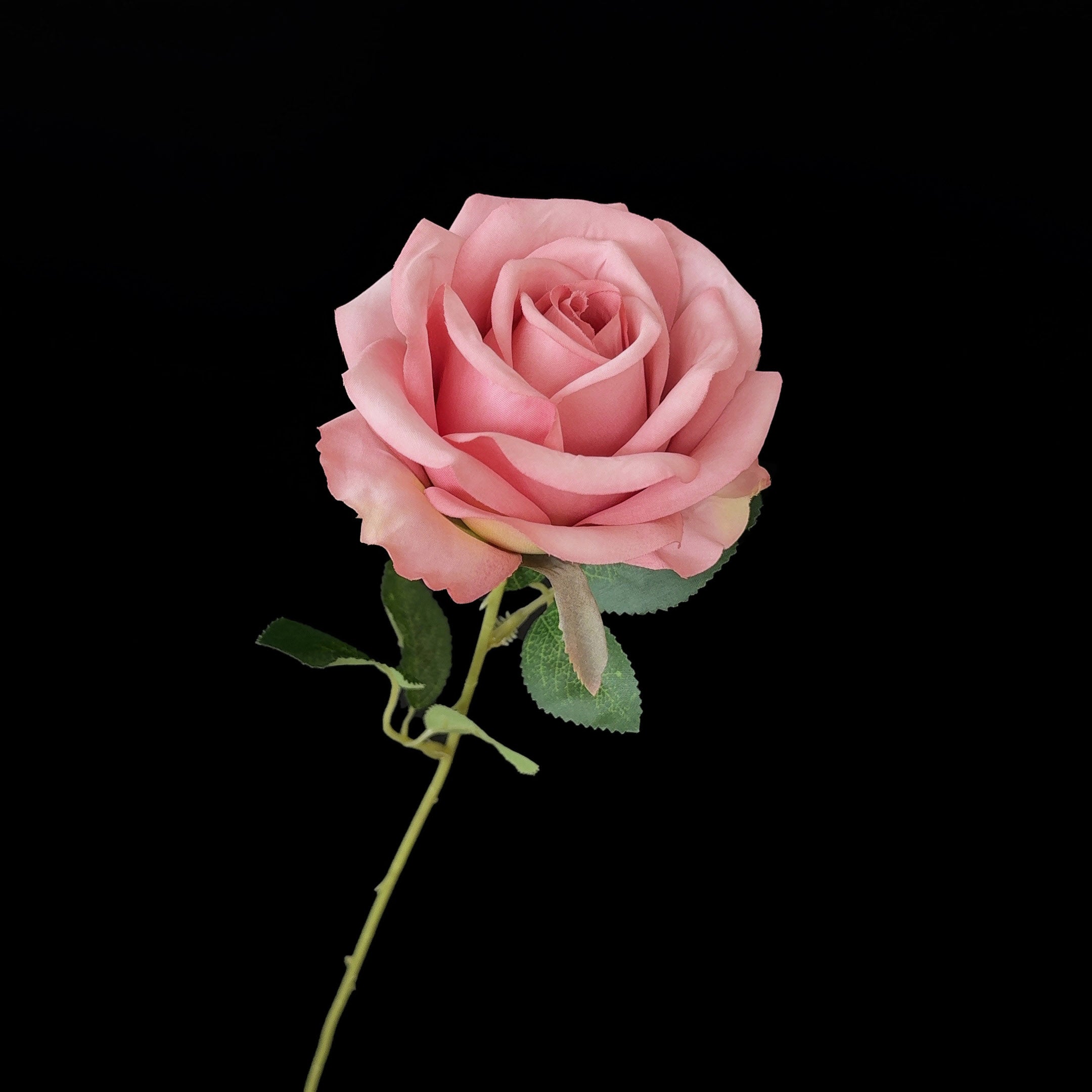 Roseytime Artificial Rose Fake Flower MOQ50